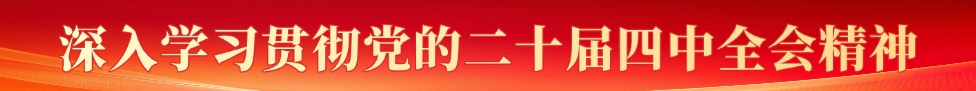 深入学习贯彻党的二十届四中全会精神